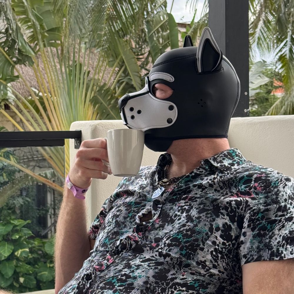 Tangent wearing a white pup hood and a black, green, pink, and white button up T-shirt, holding a cup of coffee, sitting on a balcony with palm trees and tropical foliage in the background.