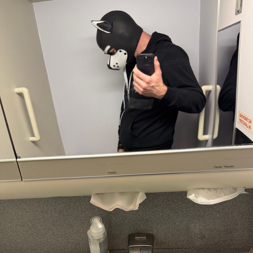 Person in a pup hood in the lavatory of a B777-200.