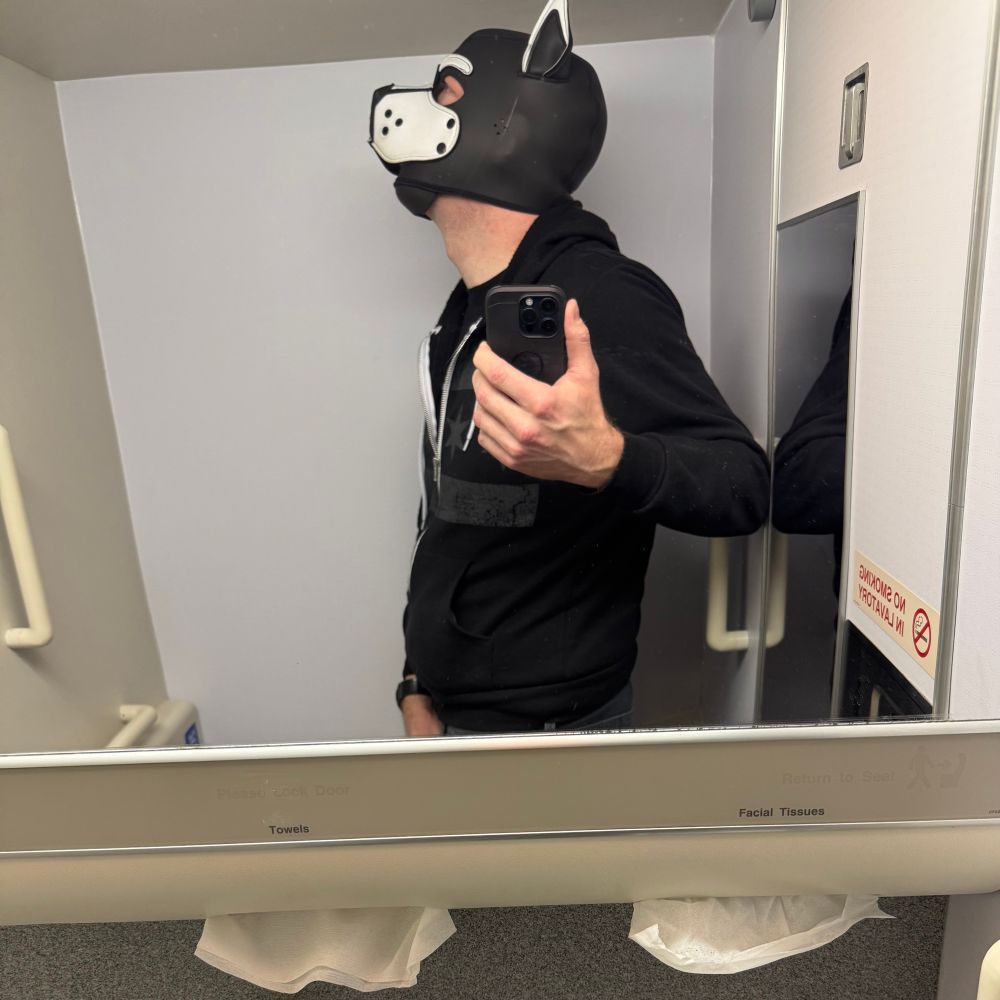 Person in a pup hood in the lavatory of a B777-200.