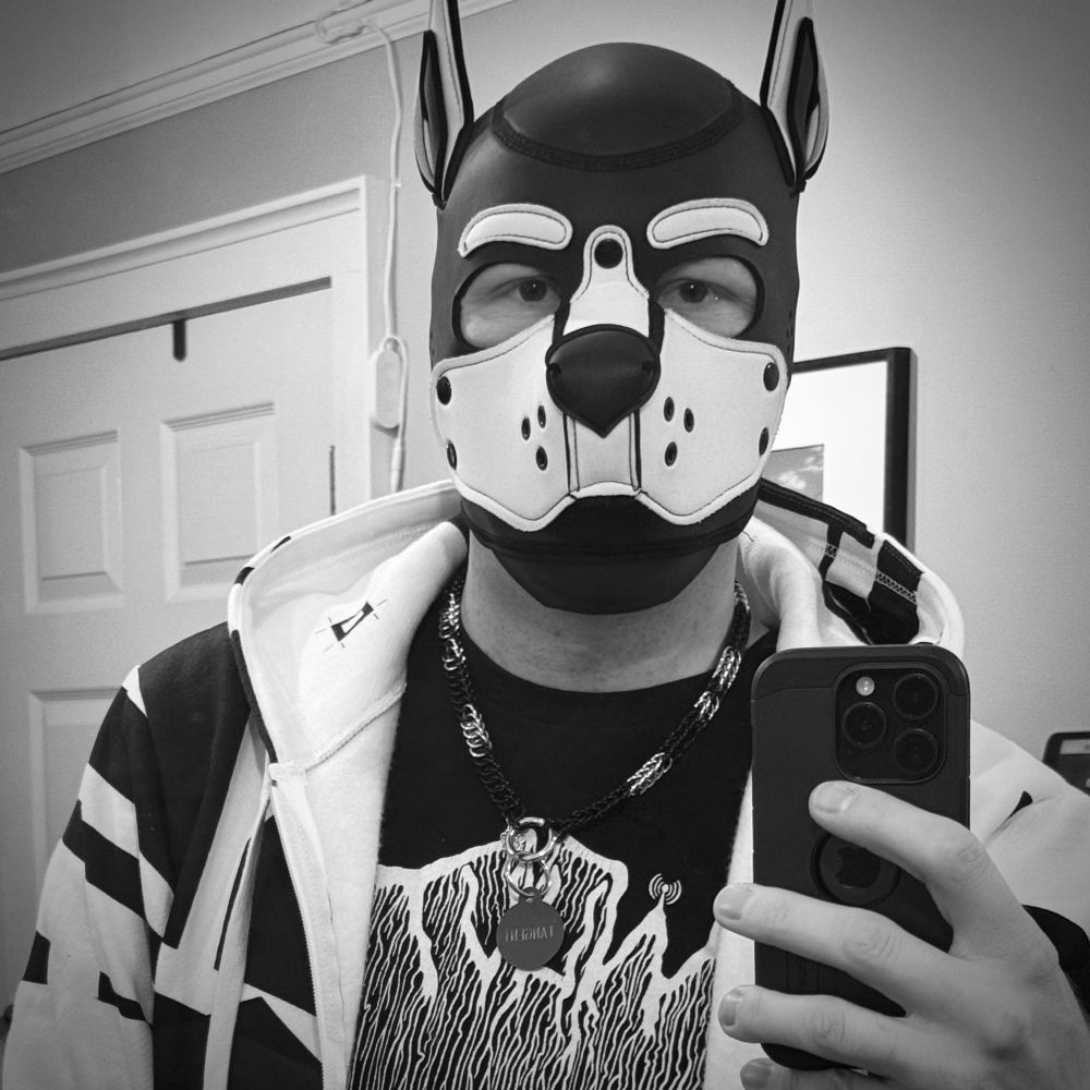 Black and silver collar that spells out TANGENT in Morse code.