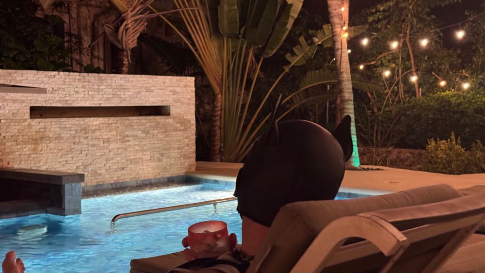 A view from behind of a pool chair with Tangent in his hood, holding a beverage, staring at the pool fountain and the tropical foliage behind the pool. 