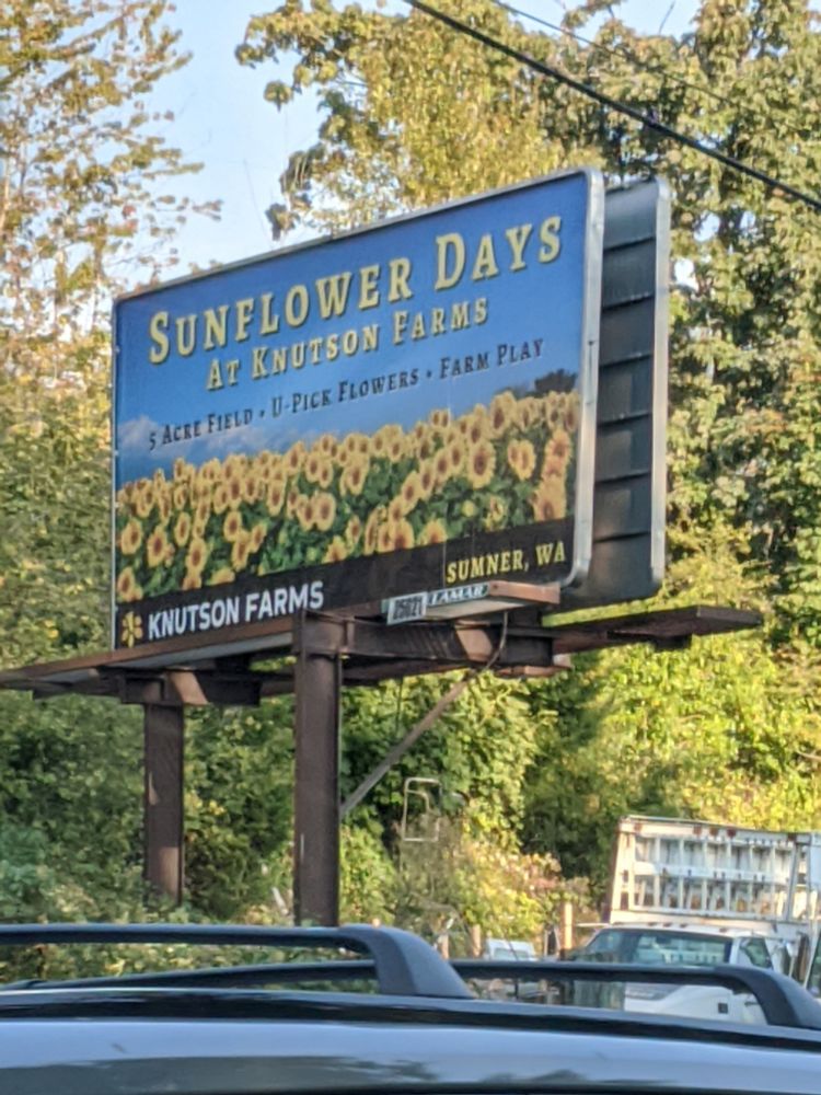 Photo of a billboard against a background of greenery. It reads "SUNFLOWER DAYS AT KNUTSON FARM" across the top. Below there is a field of sunflowers and in between there is smaller text reading "5 ACRE FIELD - U PICK SUNFLOWERS - FARM PLAY"