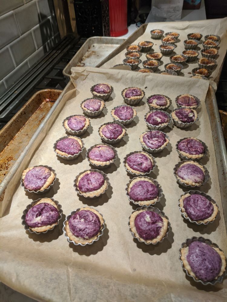 Two cookie sheets, each holding two dozen tiny ruffle edged tart pans in the foreground the tarts are filled with huckleberry cheesecake in a pleasing shade of purple. The tarts were somewhat overfilled, so the cheesecake has bulged up awkwardly.