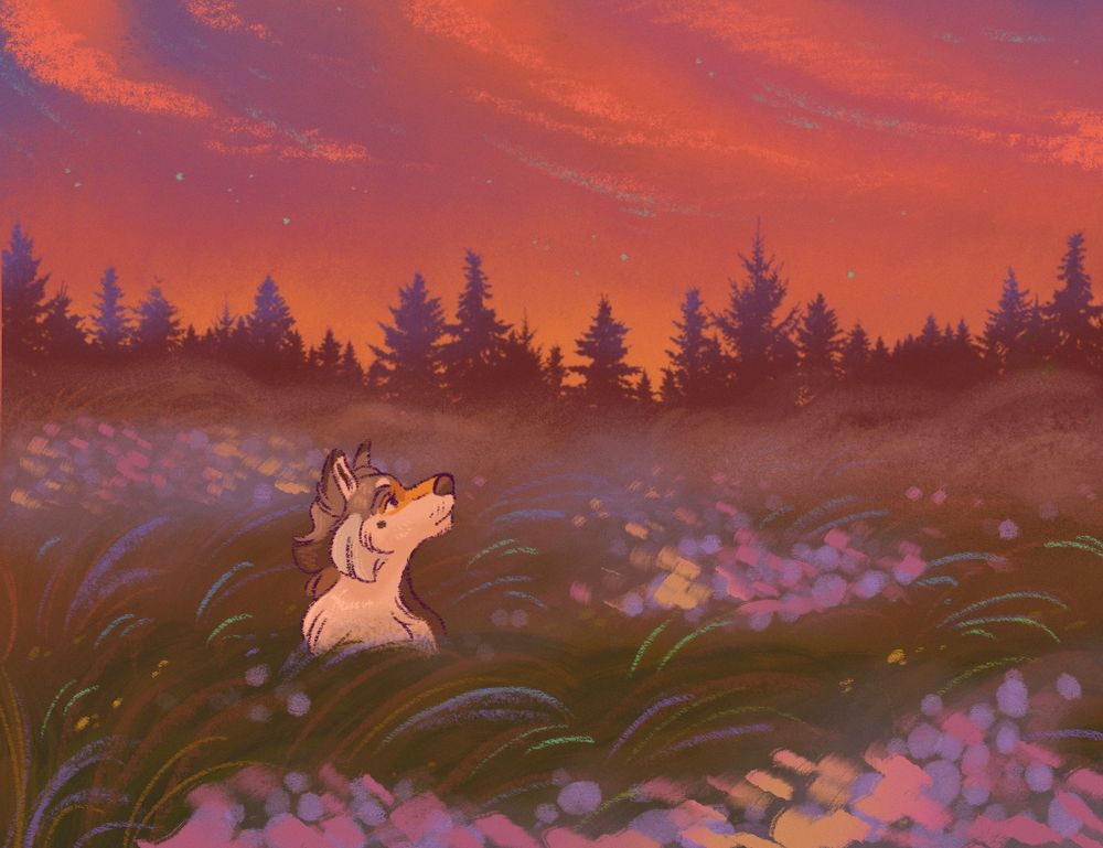 A wolf sits in a meadow at sundown. The scene is nostalgic and colorful, yet melancholy. The silhouette of forest trees can be seen in the distant background.
