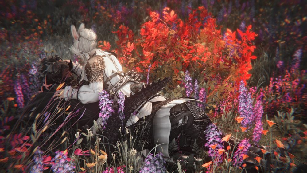 zoomed out view of previous gposes. sunlight brings focus onto them both, though their faces are both not altogether visible. a multitude of flowering blooms and grass surrounds & frames them.