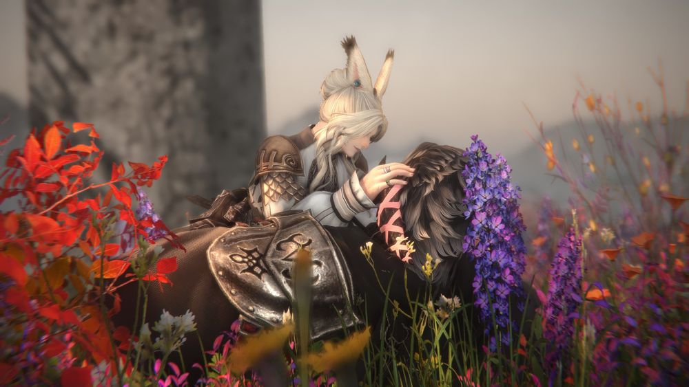 drakos ( she/they ) & yuun ( she/they/he ) in a field of flowers. the blooms frame them in brilliant colour, while sunlight casts a soft radiance on them both. yuun touches one of drakos' horns gently from on top of her; a small smile can be seen on their face.