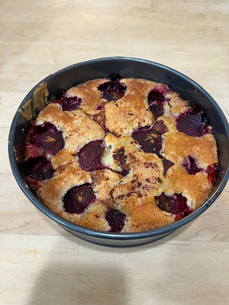 A picture of a plum torte in a 10-in springform pan. 