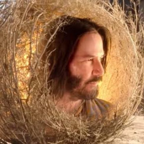 keanu reeves em um daqueles arbustos do deserto que se movem em um dos filmes do bob esponja