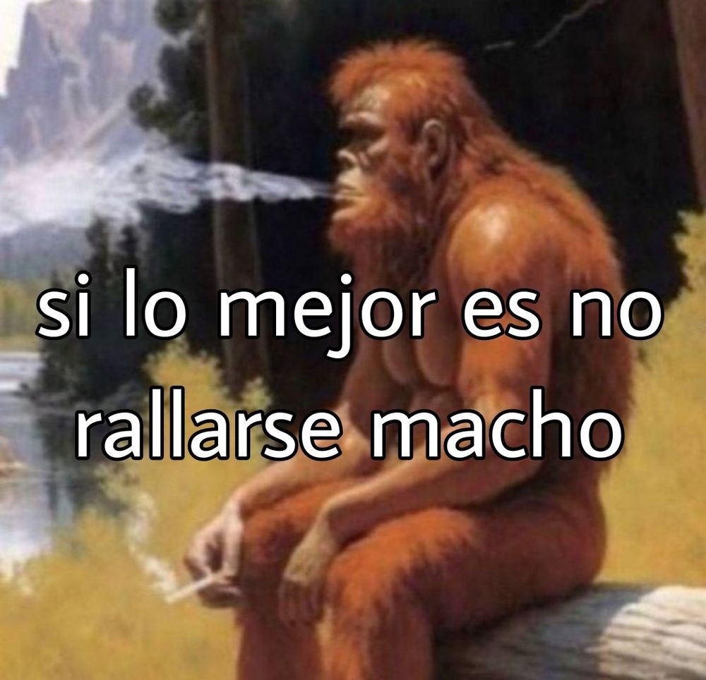 Meme de mono fumando donde pone "si lo mejor es no rallarse macho"