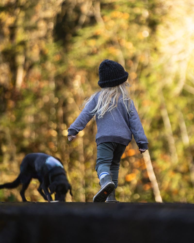 A little girl and her dog stand out against a backdrop of fall-colored trees as they watch the salmon swim upstream to spawn in the Cowichan River.