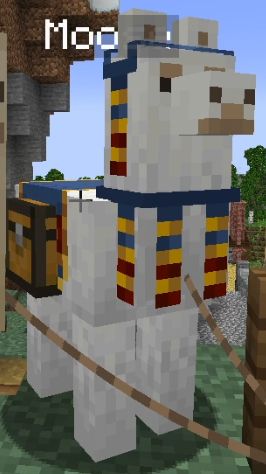 screenshot of Moose the trader llama. He despawned due to a bug when a wandering trader showed up.