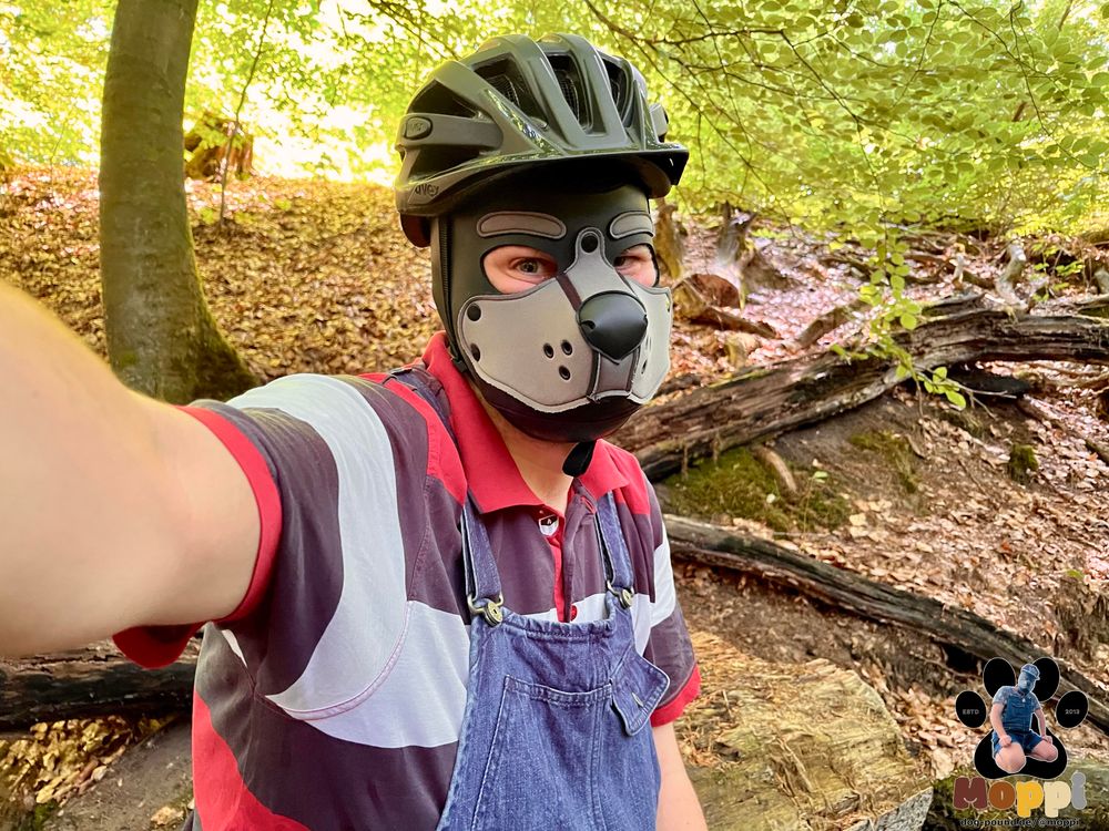 a human dog in overalls with bicycle helmet