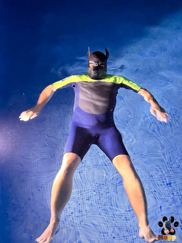 a human pup wears neopreen shorty in a pool at night