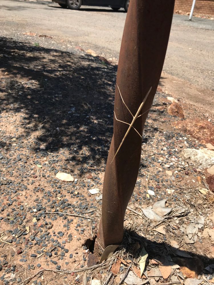 Picture of a brown stick bug on a rusted metal pole
