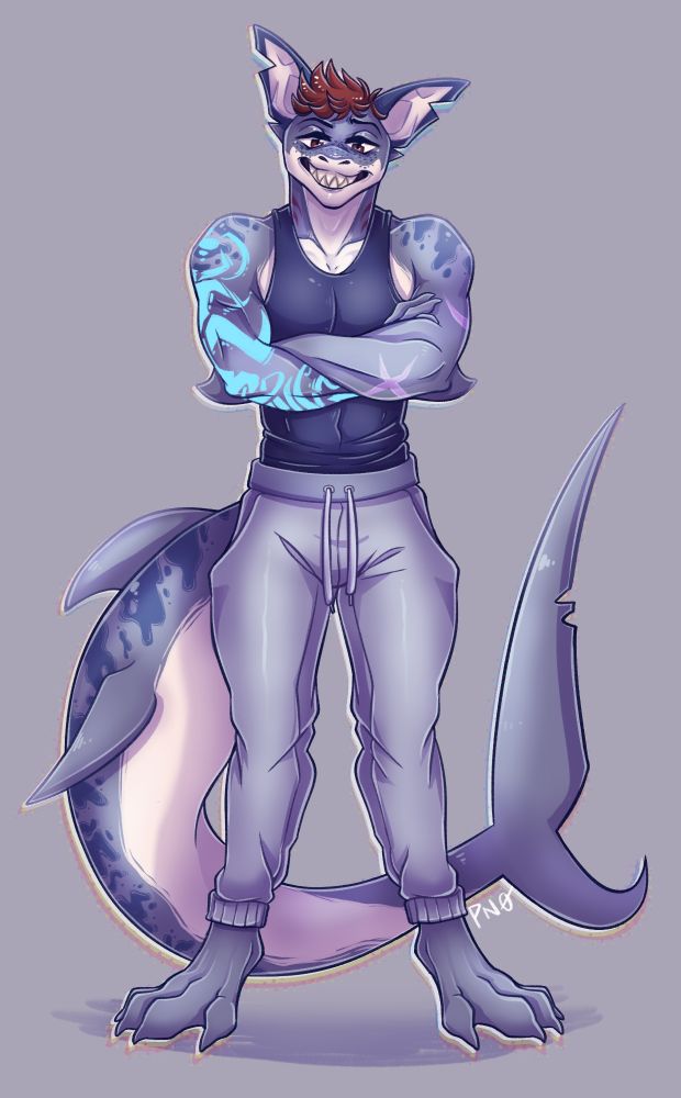 Shork!