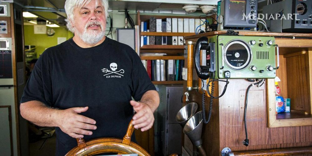 Paul Watson : anatomie d’une icône écolo