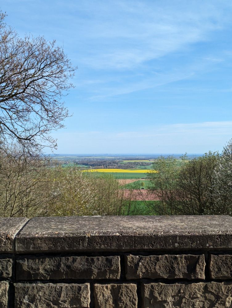 Blick über eine Mauer in die Ferne, bei Sonne scheint sieht man nur Rapsfelder und sonst nichts