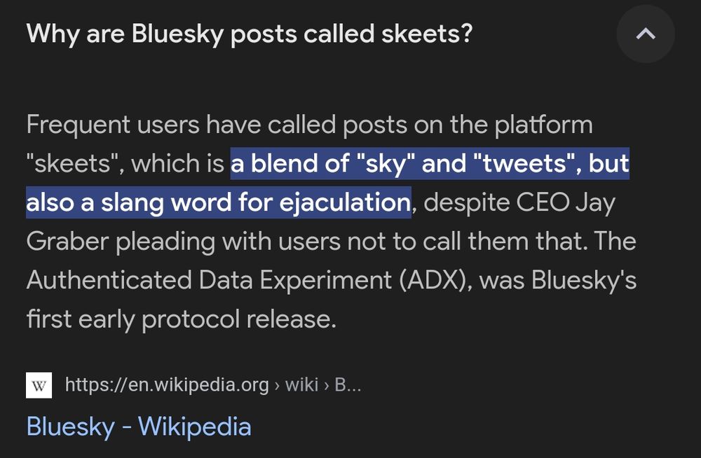 Screenshot of a Wikipedia excerpt explaining why Bluesky posts are called "skeets." It states that users coined the term as a blend of "sky" and "tweets," but it is also a slang term for ejaculation. Despite CEO Jay Graber asking users not to call posts "skeets," the term has stuck. A hyperlink to the Bluesky Wikipedia page is included at the bottom.
