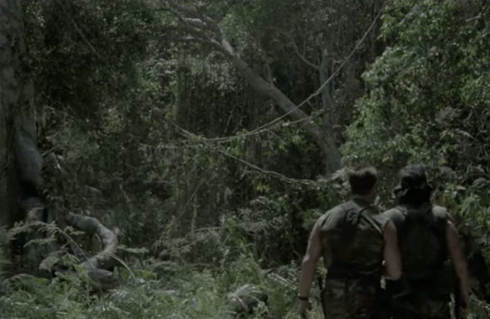 A scene from the movie Predator where two characters (played by Arnold Schwarzenegger and Sonny Landham) are seen looking into the jungle foliage for something they think is there