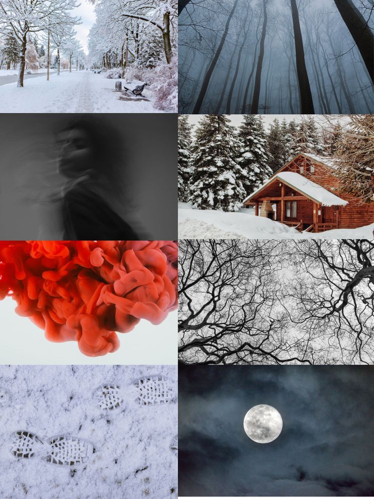 mood board for the book I'm writing: what's pictured: snowy woods, woods, ghost, snowy cabin, blood, trees, footprints in snow, eerie moon and fog