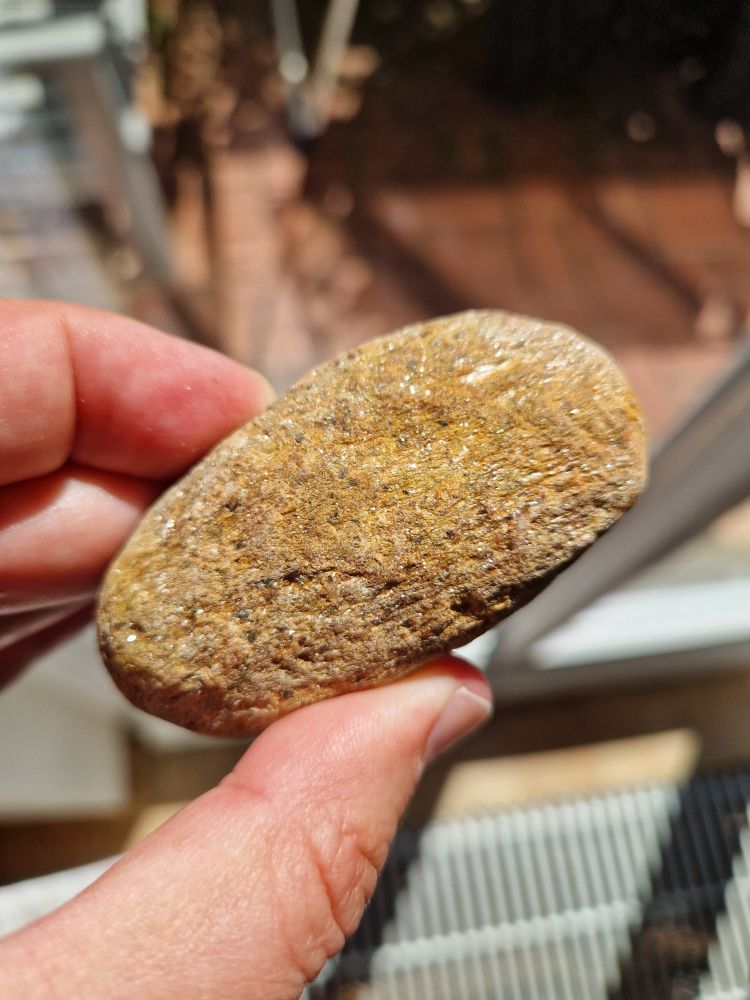 A photo of an oval glittery beige rock. This one is my fave. 