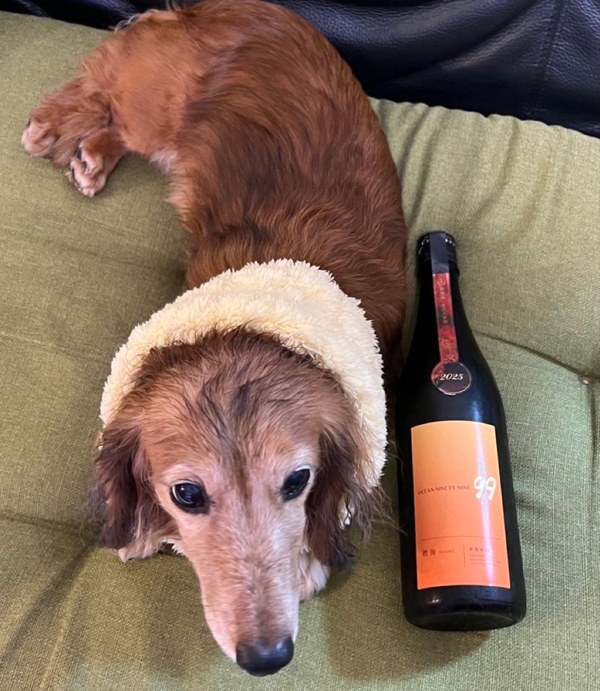 地酒とミニチュアダックスフンド犬。