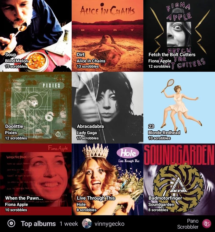 Soup by Blind Melon, Dirt by Alice in Chains, Fetch the Bolt Cutters by Fiona Apple, Doolittle by Pixies, Abracadabra by Lady Gaga, 23 by Blonde Redhead, When the Pawn...by Fiona Apple, Live Through This by Hole, Badmotorfinger by Soundgarden