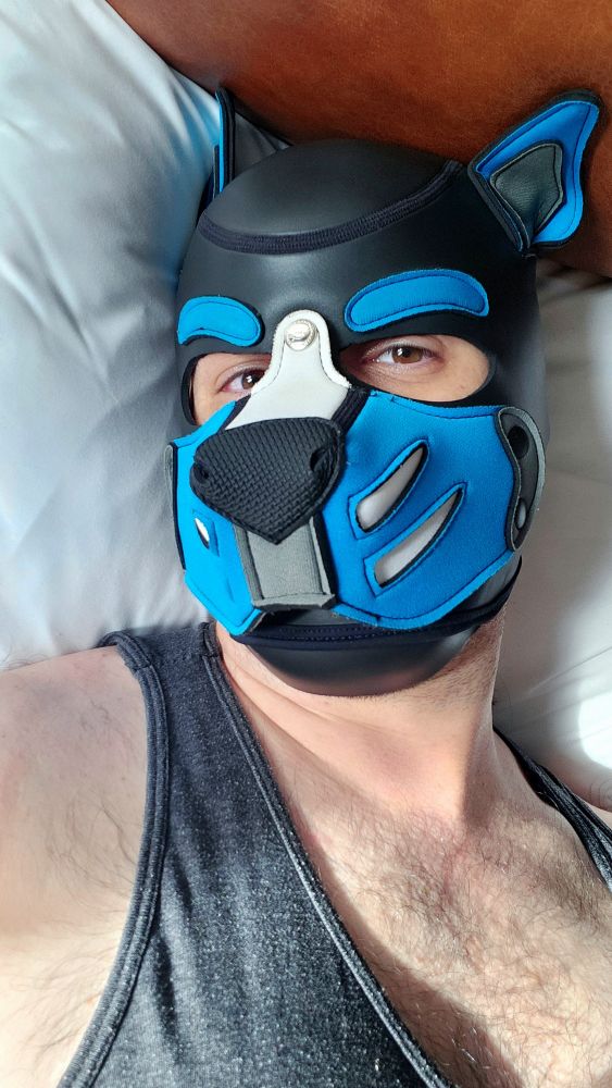 Pup Strøm in pup hood and tank top laying in bed