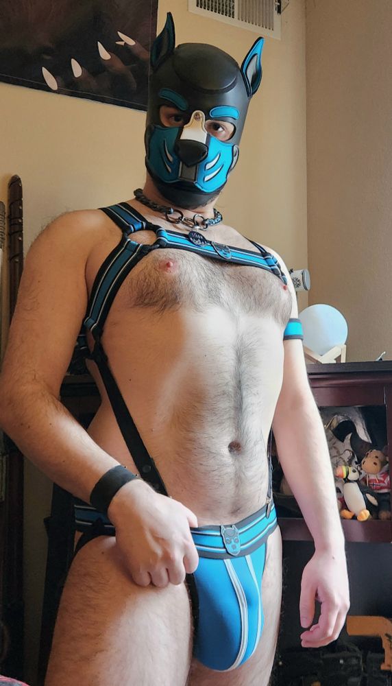 Pup Strøm in pup hood and harness and jockstrap 