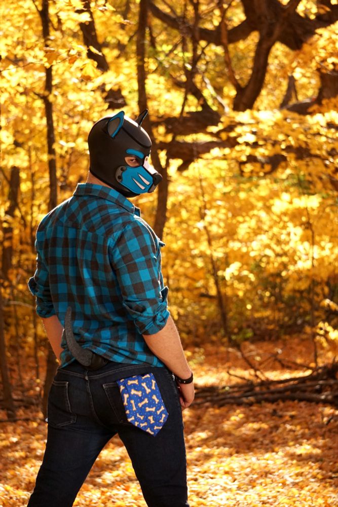 Pup Strøm in pup hood 