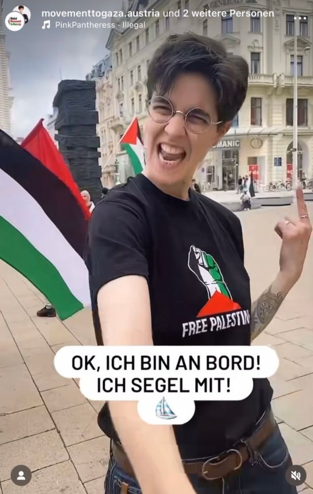 Marlene Engelhorn vor Pali-Fahnen im Pali-TShirt und mit schriller Körpersprache und Gestik. Sprechblase: "Ok, ich bin  an Bord! Ich segel mit!"