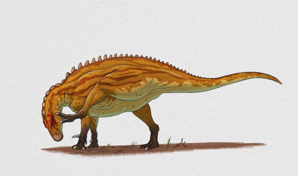 An iguanodon using one of its hind legs to scratch its head. The dino is mostly orange with a few dark red markings