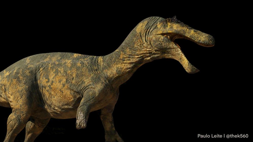 3D model of a Suchomimus. The dinosaur is mostly yellow with green markings all over its body. It's missing its right.