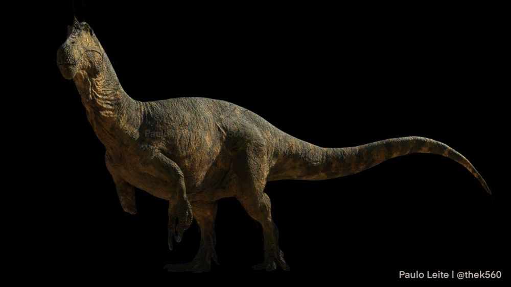 3D model of a Suchomimus. The dinosaur is mostly yellow with green markings all over its body. It's missing its right.