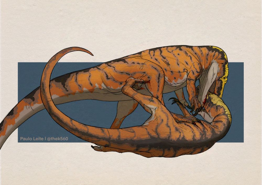 Digital painting of two torvosauruses fighting. One of them is on the ground being bitten in the head by the other one.