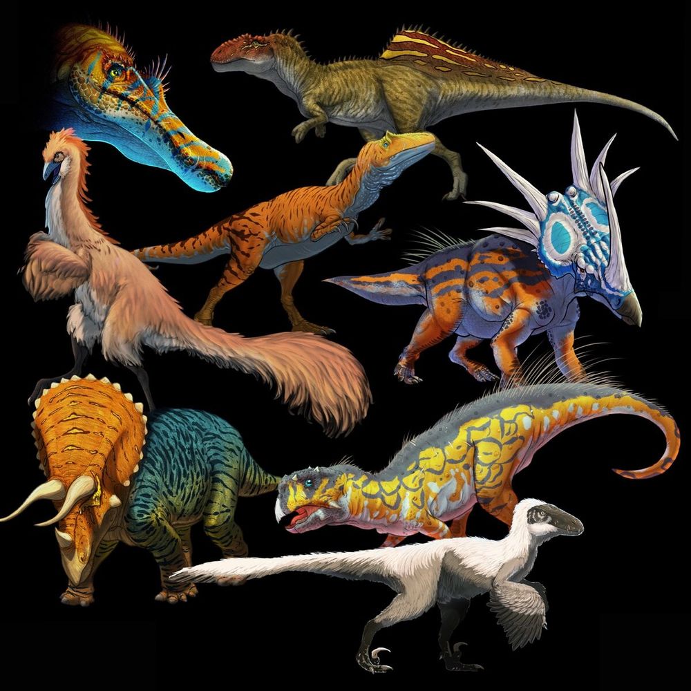 8 dinosaurs digitally painted in Procreate. The dinosaurs are a Baryonyx, Concavenator, Allosaurus, Gallimimus, Styracosaurus, Triceratops, Psitacosaurus and Deinonychus.