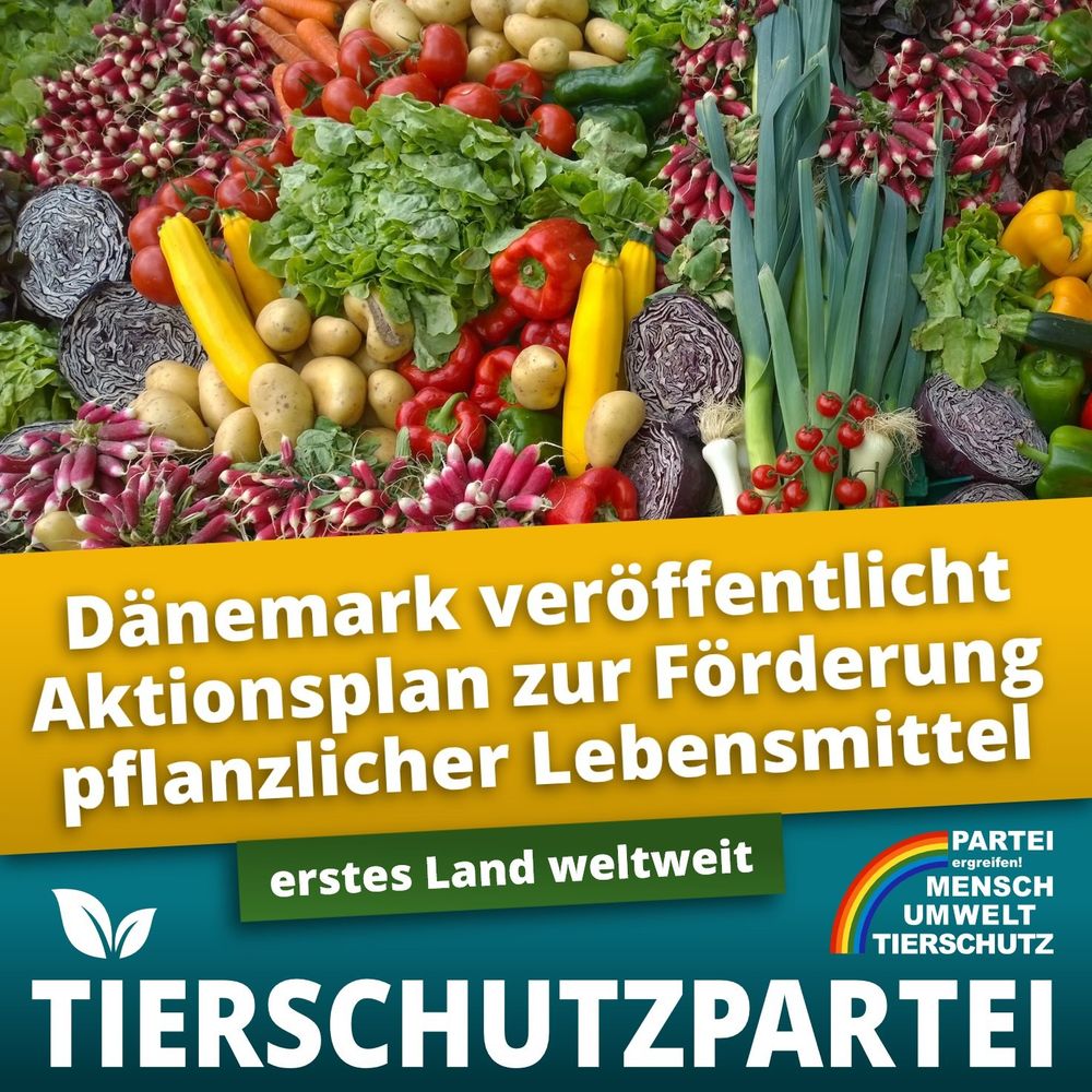 Eine Mischung verschiedenster Gemüsesorten