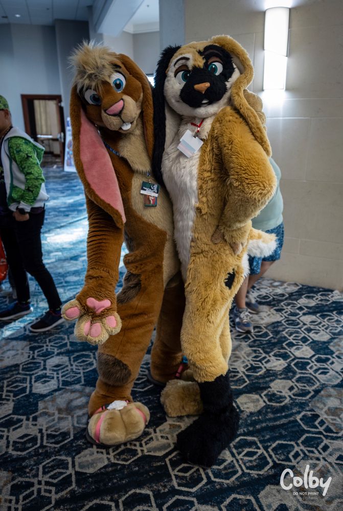 Bubbles (tan lop-eared bunny) and Pachinko (beige/white/black lop eared bunny) fursuits at PAWcon 2024, San Jose. Photo by @colby.dog