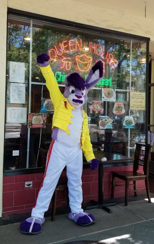 Twilight bunny dressed in Freddy Mercury’s iconic yellow jacket from Queen’s 1986 Wembley stadium concert.