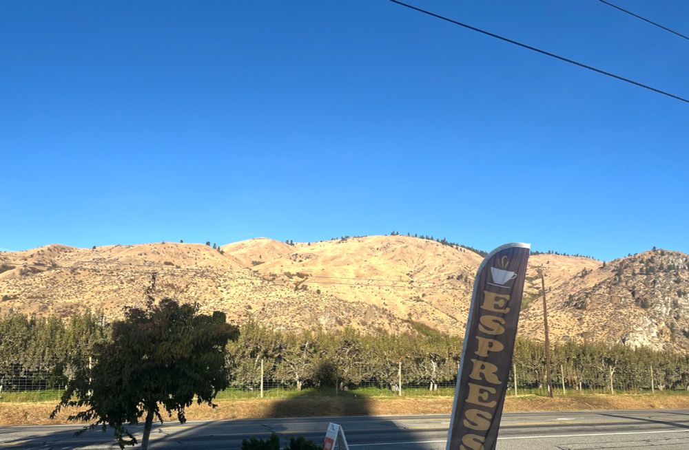 The mix of tidy, high-density orchards in the foreground, the very dry, tawny foothills studded with scattered Ponderosa pines on the ridgelines, and the clear blue sky all scream “east side of the Cascades.” That combination is especially characteristic of the Wenatchee–Chelan stretch of the Columbia River in central Washington, where apple and pear orchards sit right below sun-blasted shrub-steppe slopes.

So my best guess: this photo was taken somewhere near Wenatchee or Lake Chelan, Washington—probably along US-97/97A where roadside espresso stands are common.