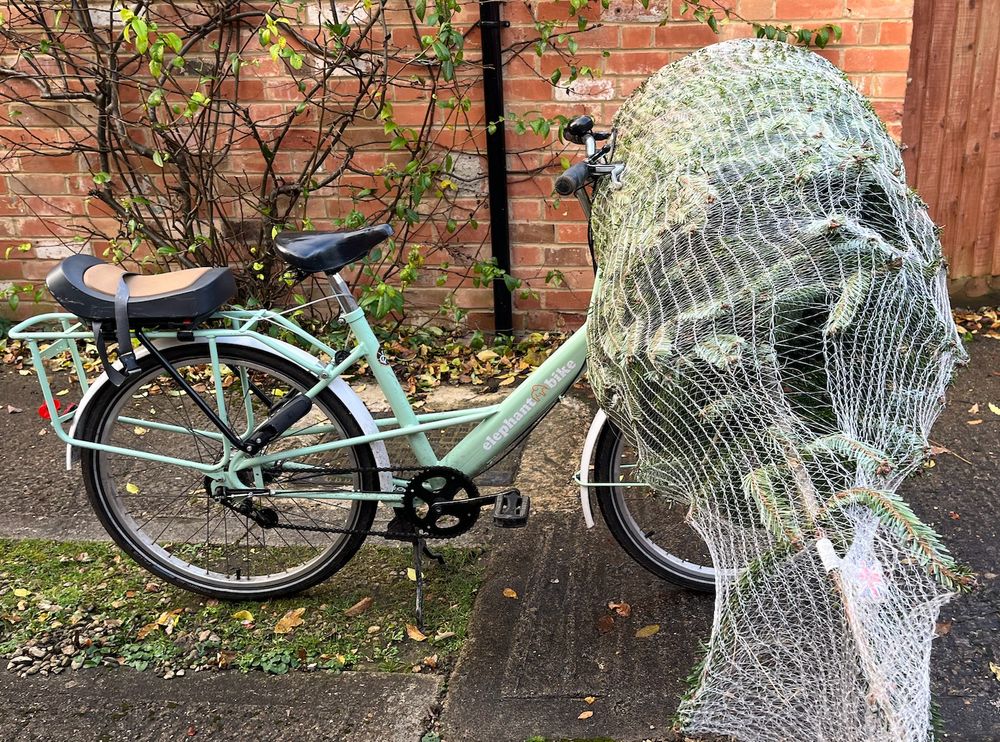 Christmas tree being carried on the basket of a green Elephant Bike (a reconditioned posties bike)