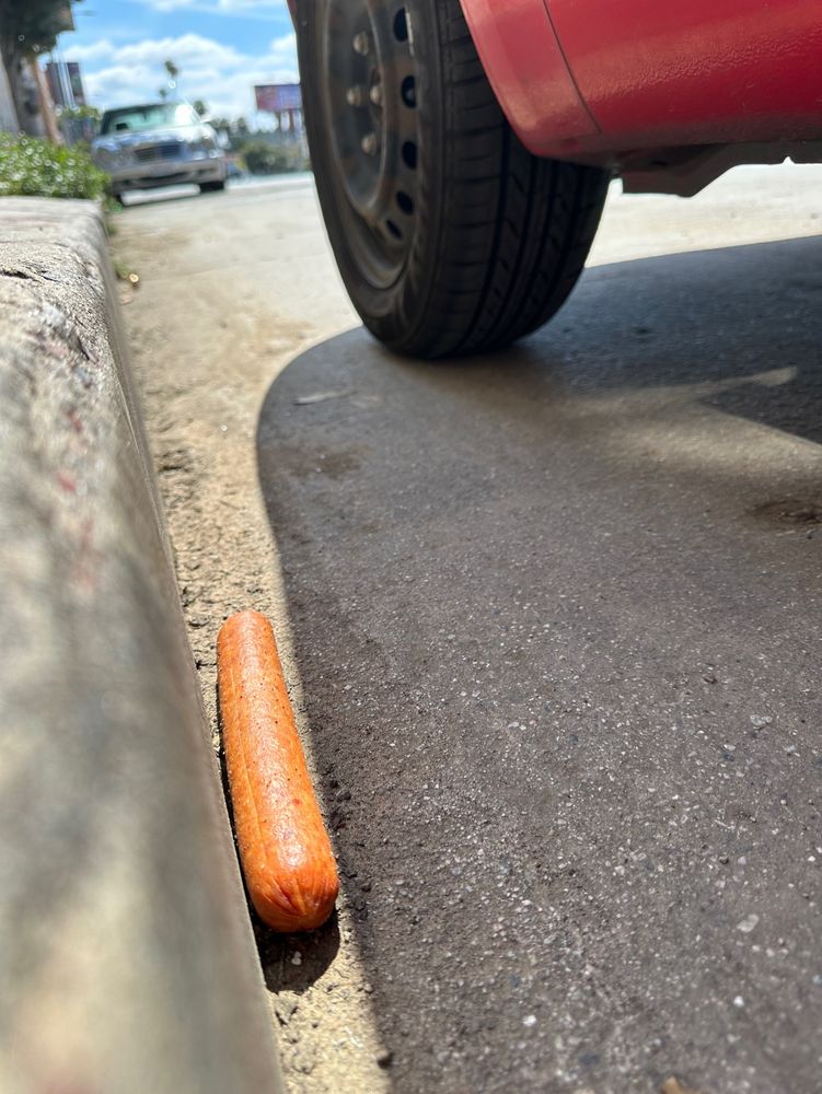 🌭
