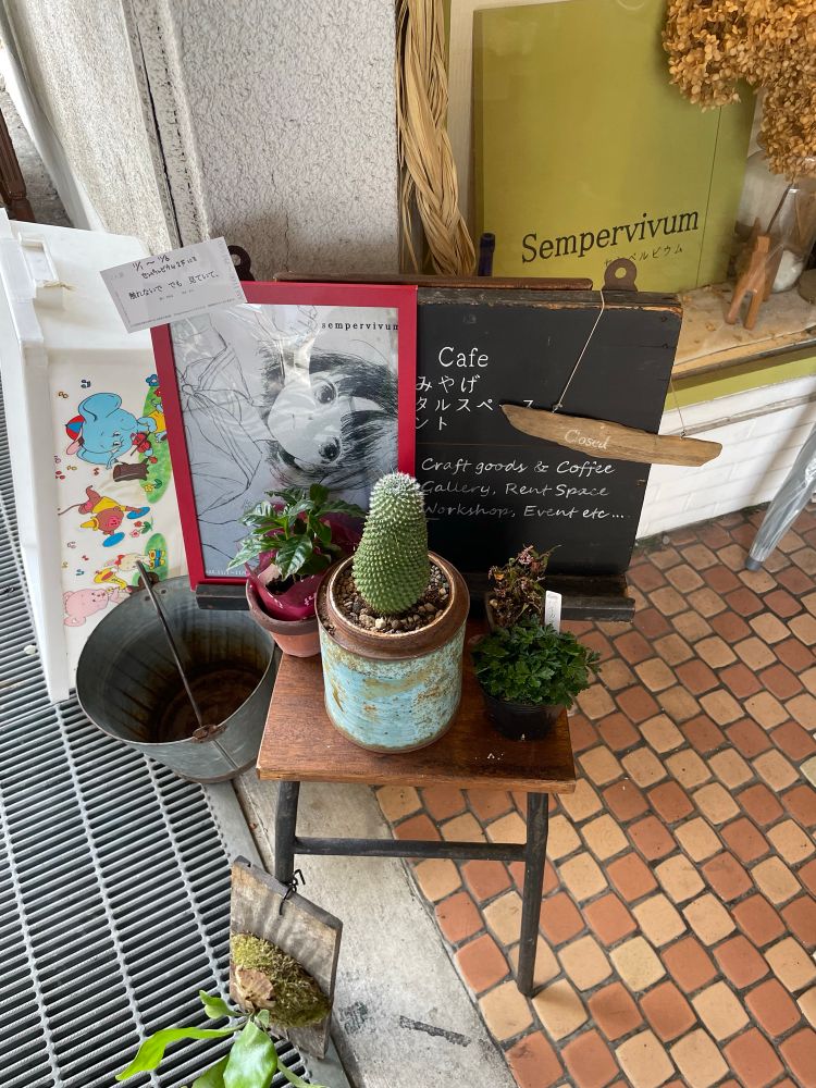 センペジウムさん前