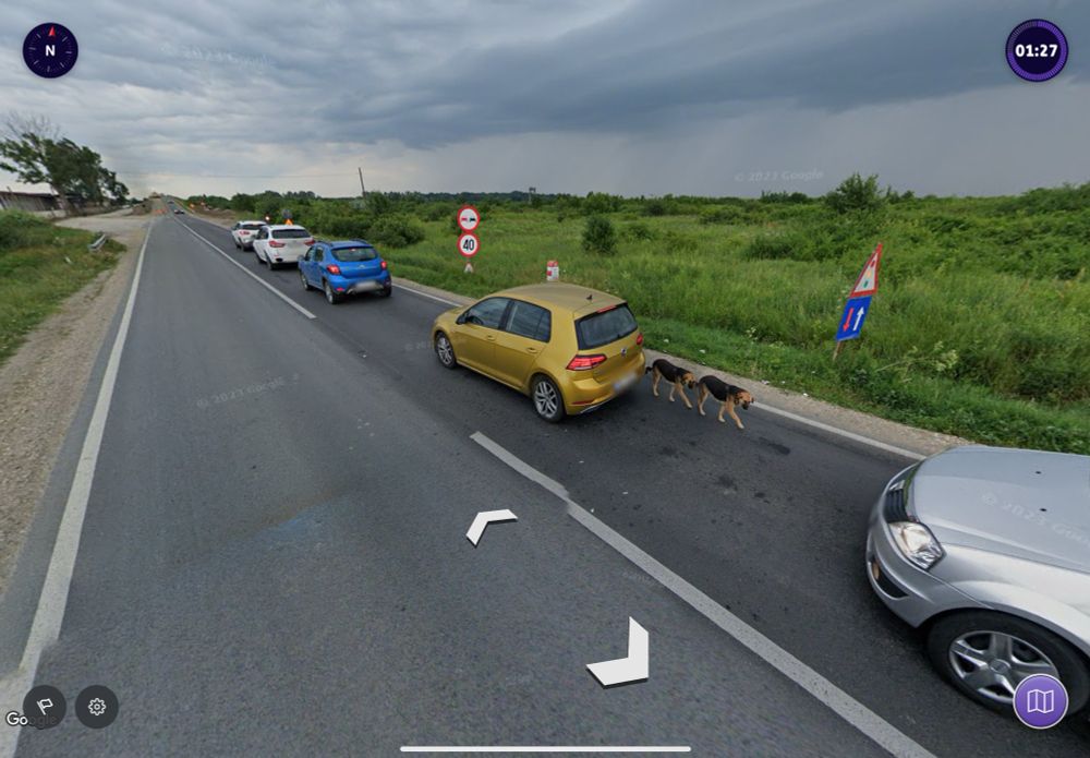 An image stitch from Google maps / Geoguessr featuring a dog that is replicated walking amongst vehicles on a country road somewhere in Europe