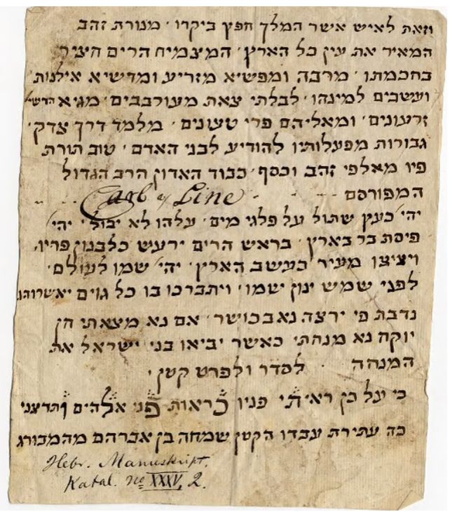 A letter with the following text: 
וזאת לאיש אשר המלך חפץ ביקרו, מנורת זהב המאיר את עין כל הארץ, המצמיח הרים חציר בחכמתו, מרבה ומפשיא מזריע ומדשיא אילנות ועשבים למינהו, לבלתי צאת מעורבבים, מגיא הדשי[א] זרעונים, ומאליהם פרי טעונים, מלמד דרך צדק, גבורות מפעלותיו להודיע לבני האדם, טוב תורת פיו מאלפי זהב וכסף, כבוד האדון הרב הגדול המפורסם ...... Carl Line

יהי כעץ שתול על פלגי מים, עלהו לא יבול, יהי פיסת בר בארץ, בראש הרים ירעש כלבנון פריו, ויציצו מעיר כעשב הארץ, יהי שמו לעולם, לפני שמש ינון שמו, ויתברכו בו כל גוים יאשרוהו.

נדבת פי ירצה נא בכושר, אם נא מצאתי חן יוקח נא מנחתי כאשר יביאו בני ישראל את המנחה. לסדר ולפרט קטן.

כי על כן ראיתי פניו כראות פני אלהים ותרצני
