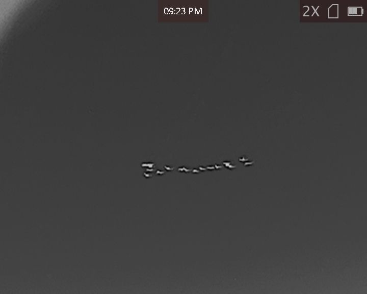 Flock of Wigeon seen through a thermal imager migrating east over Longridge.