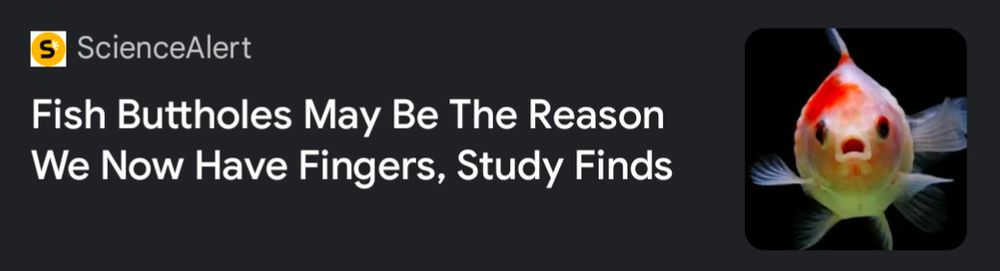 Headline reading "Fish Buttholes May Be The Reason We Now Have Fingers, Study Finds."