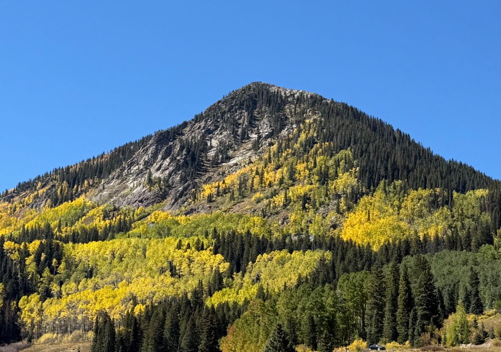 Aspens turning gold in the high country near Telluride 