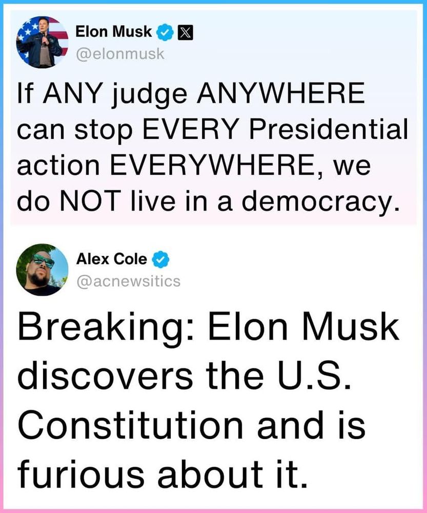 Actually, that IS a democracy -- the judicial branch is "checking" the executive branch and letting that branch know, um, you can't do what you are thinking of doing, so we need to take a minute to review this to determine if this is legit or not before proceeding bc we need "balance" in our government.