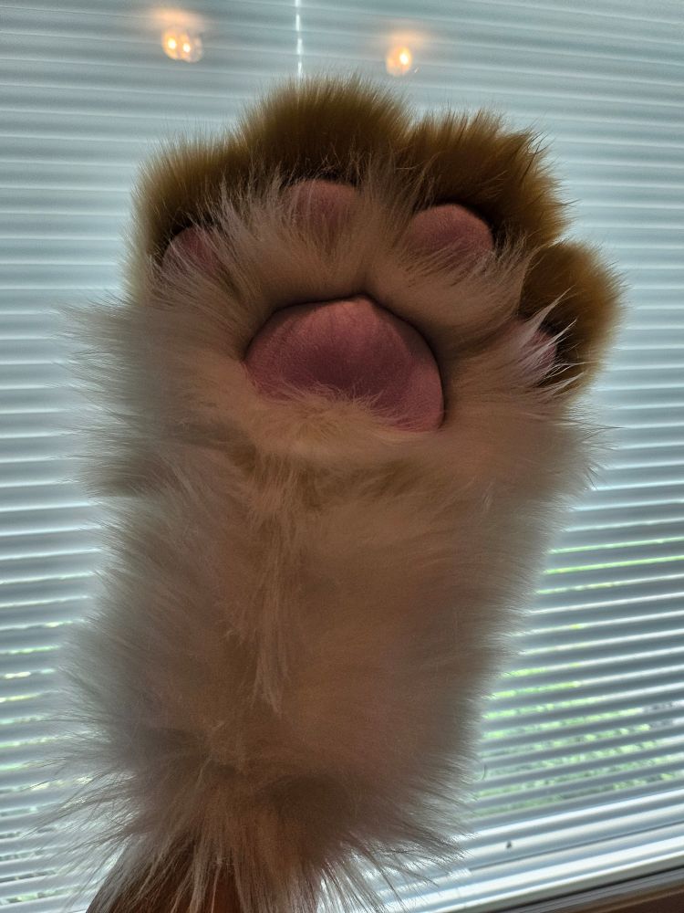 Paw! White fursuit paws with light brown toes and lavender beans